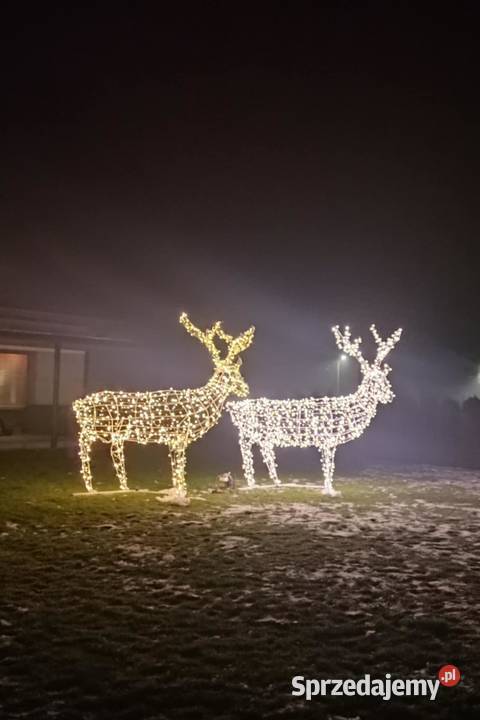 Renifer XXXL 27m Turowola sprzedam