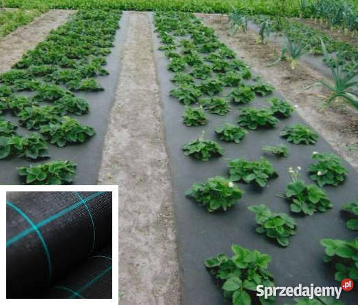 Folia tunelowa ogrodnicza zbrojona Warszawa sprzedam