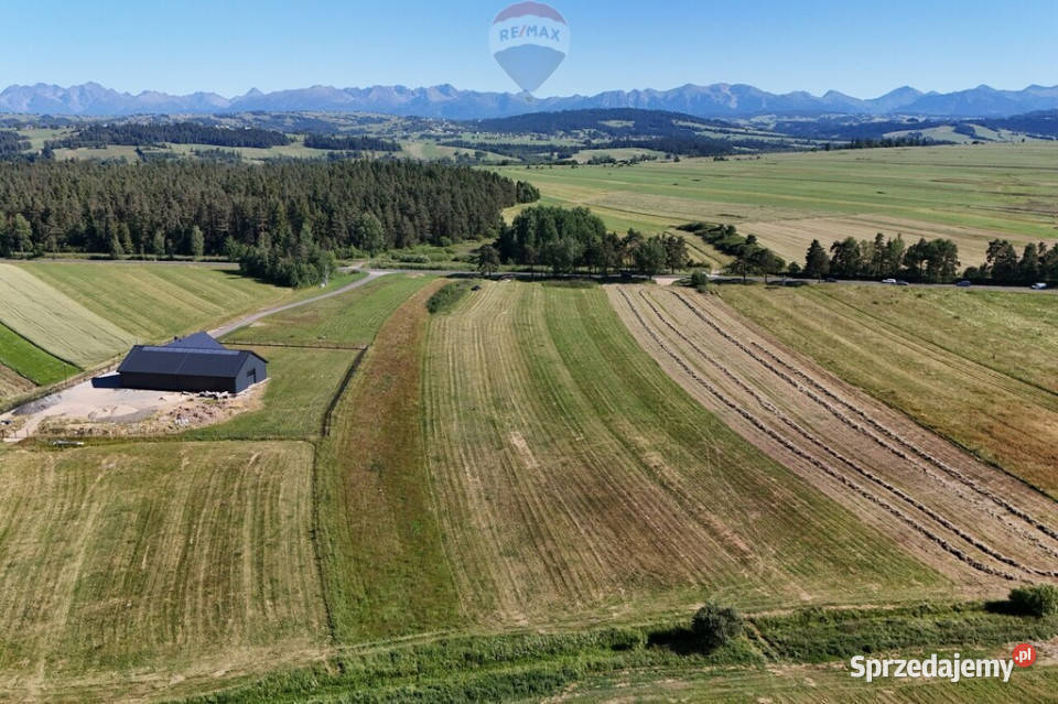 Dzierżawa działki 15 ha w Wróblówce sprzedam