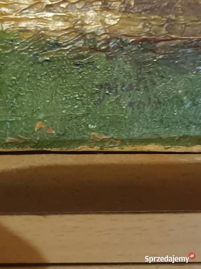 Wiejska droga na Śląsku śląskie Bielsko-Biała