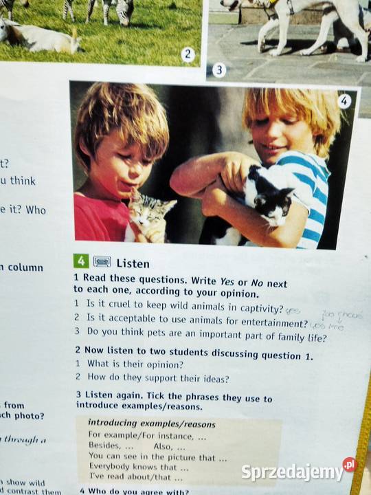 Egzamin FCE angielski antykwariat szkolny