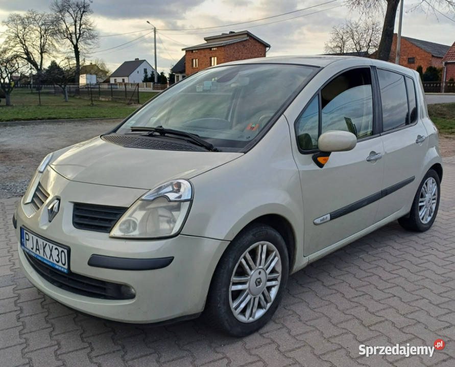 Renault Modus INITIALE PARIS Automat Skórzana elektryczne lusterka Modus Suchorzew
