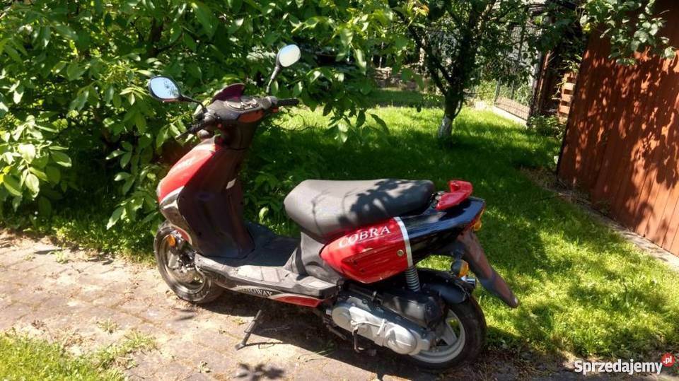 Kingway Cobra Sport pas napędowy sprzedam