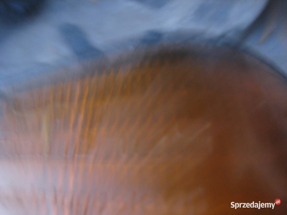 lampa tylna prawa kaseta oprawka Volkswagen Golf prawe Kraków