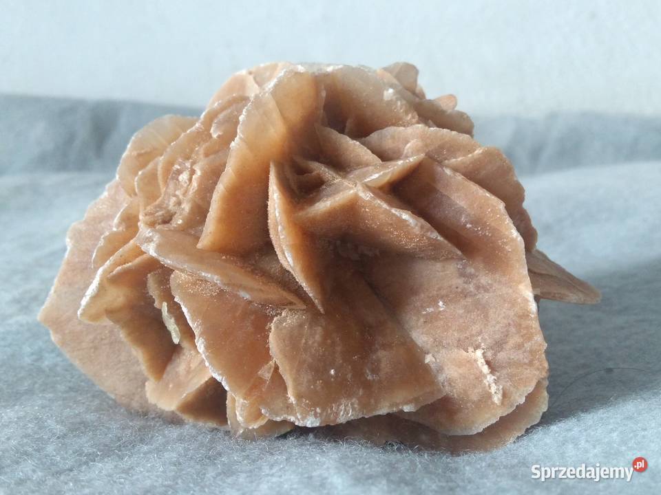 Róża Pustyni kamień ozdobny z Sahary 12 07 mazowieckie