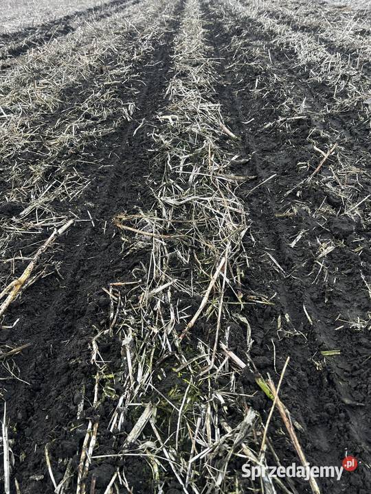 Gwiazdki rozgarniające do agregatu strip till Choceń