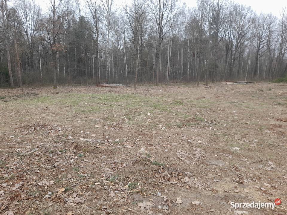 Działka w Babsku Twoja enklawa wolności