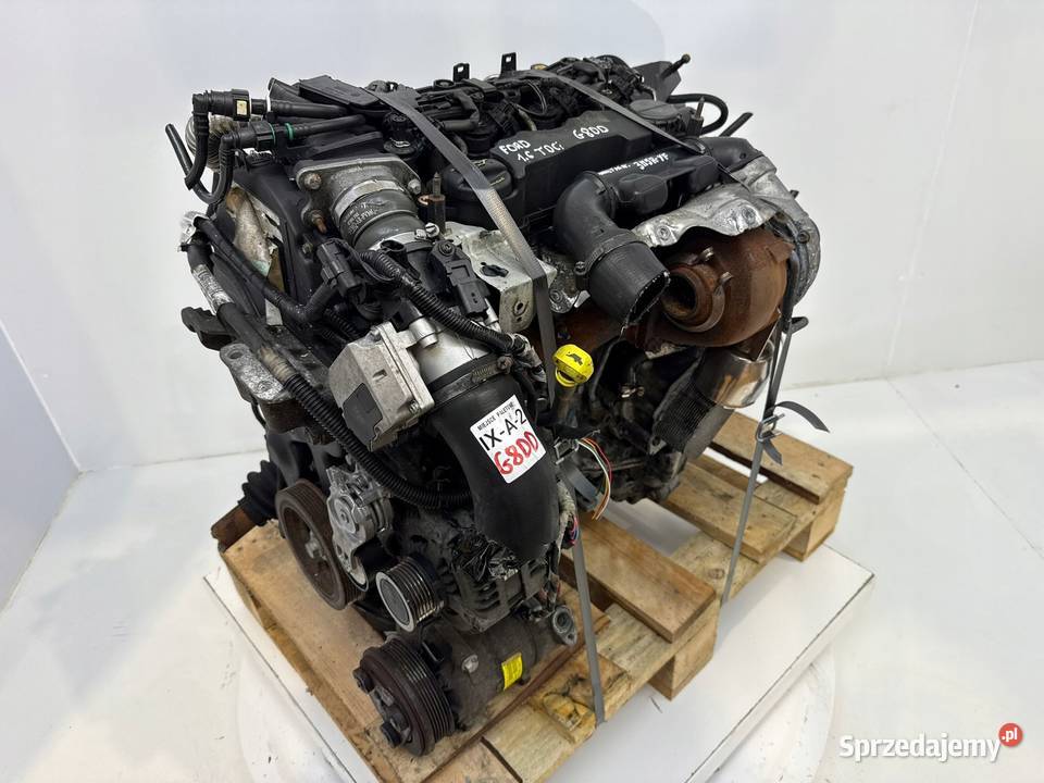 SILNIK KOMPLETNY G8DD Ford Focus II MK2 C C 16 lubelskie Chełm