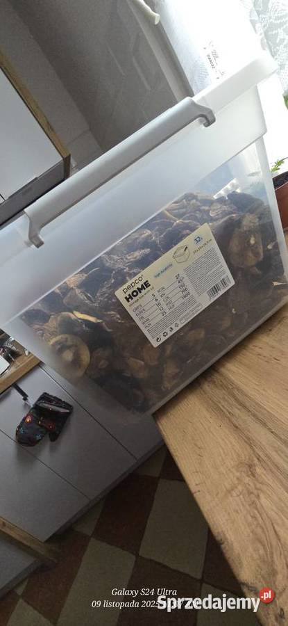 Sprzedam Grzybki suszone Pabianice