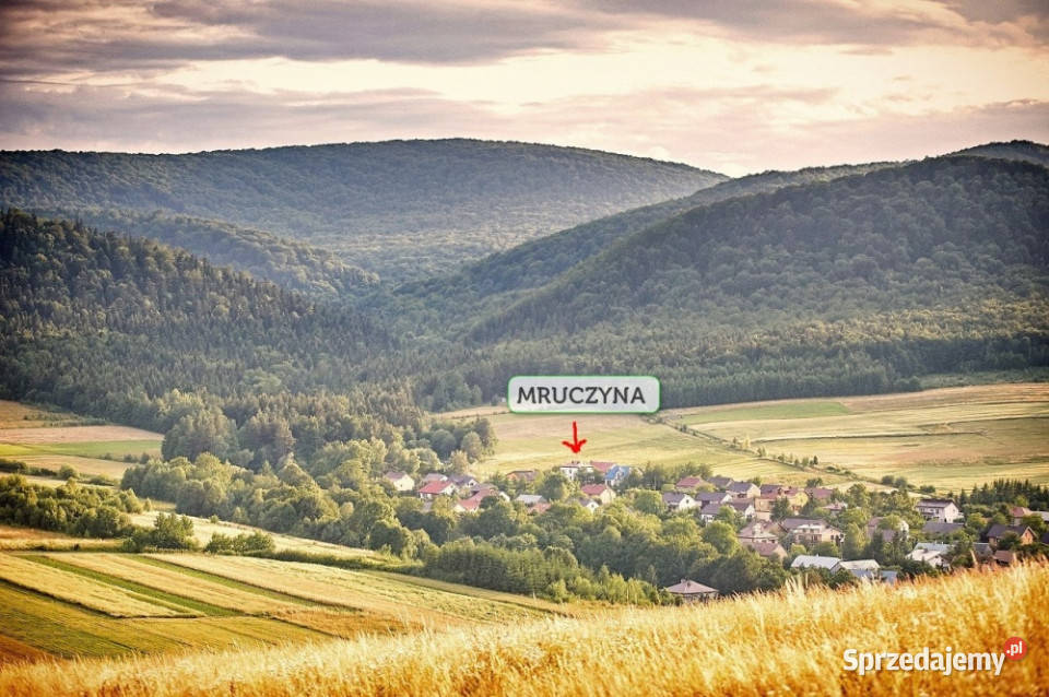 Sprzedam Agroturystyke Prosperujące Gospodarstwo Mrukowa