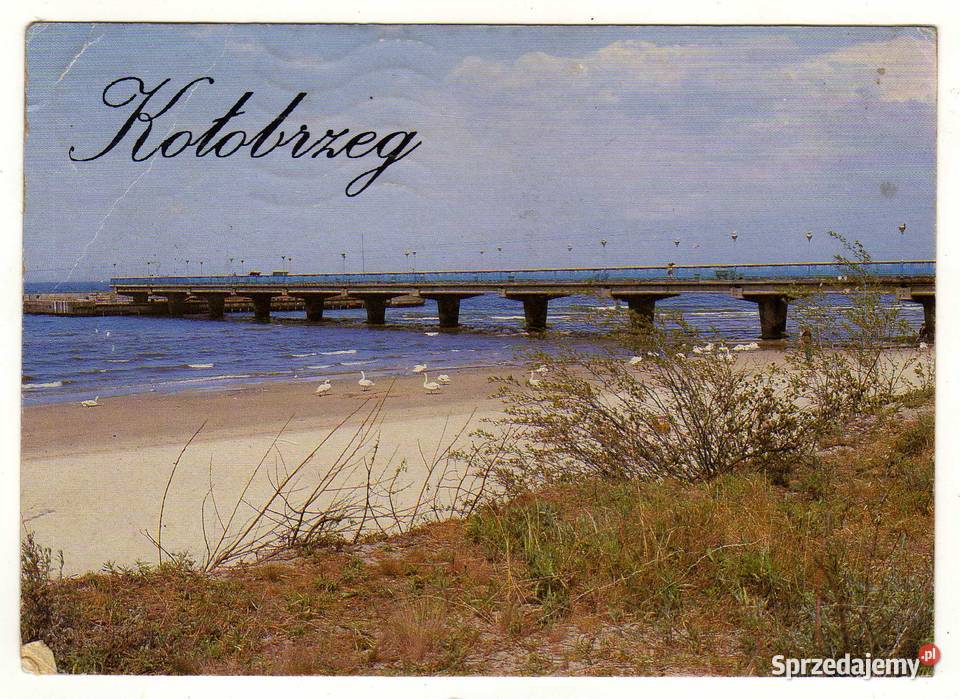 KOŁOBRZEG świętokrzyskie Krynki