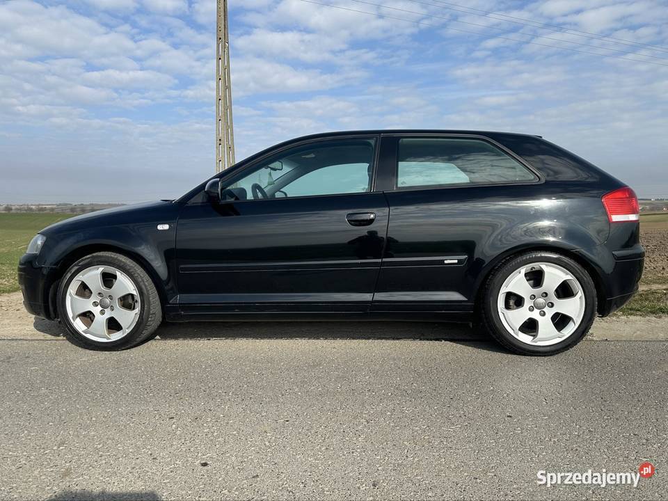 Audi A3 Sline 8P 20 TDi 140 2004 z Niemiec ASR (kontrola trakcji) Przeworsk