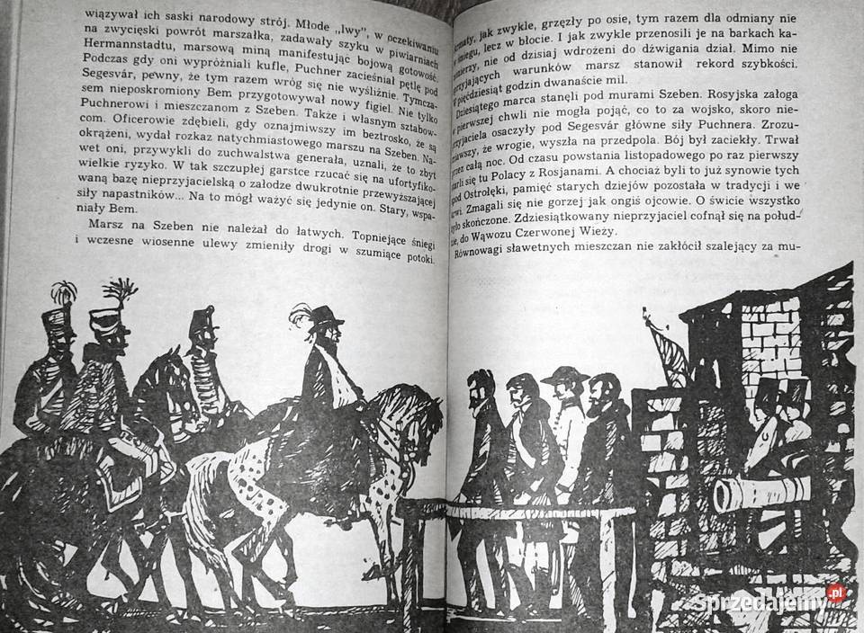 Trójkolorowa kokarda Jadwiga Chamiec Chełm