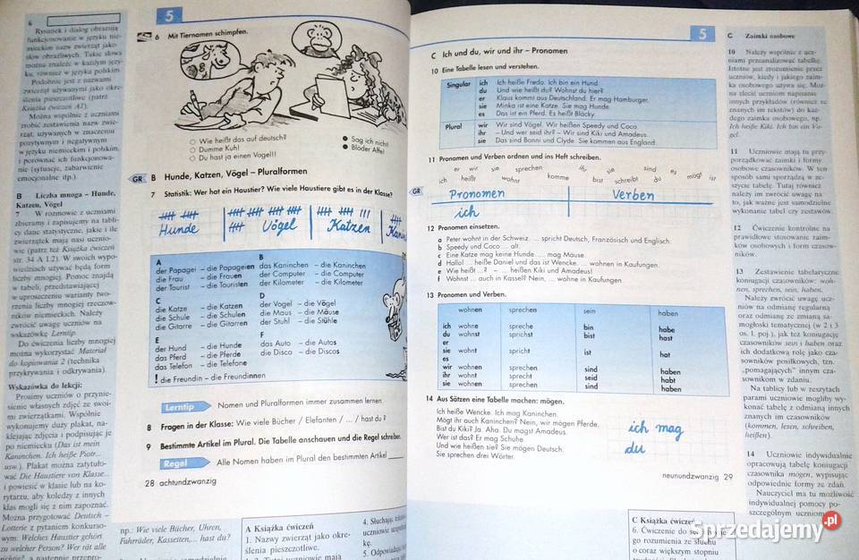 Sowieso 1 Podręcznik metodyczny nauczyciela Jęz Rok wydania 1995 Chełm