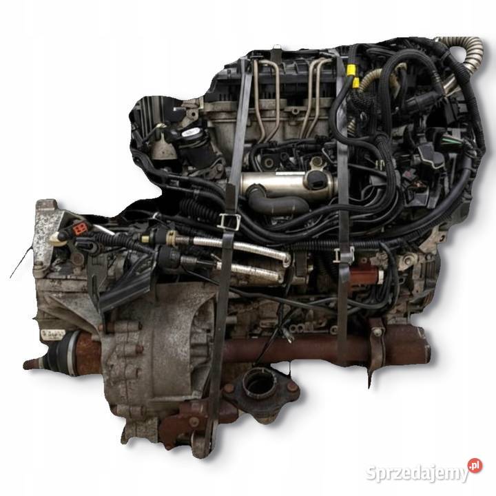 SILNIK HHDA Ford Focus II MK2 C 16 TDCI 90 osobowe Silniki kompletne Chełm sprzedam
