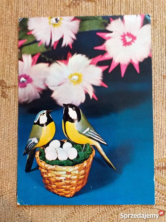 KOMPOZYCJA ARTYSTYCZNA KWIATYPTAKI I JAJKA W Piszczac sprzedam