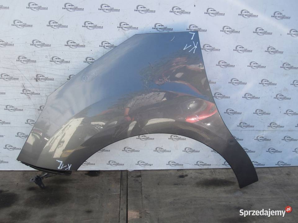 CITROEN C3 II 10r błotnik lewy przód 40 mikronów