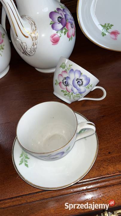 Filiżanka Tirschenreuth Anemony Jest kilka form Porcelana i szkło