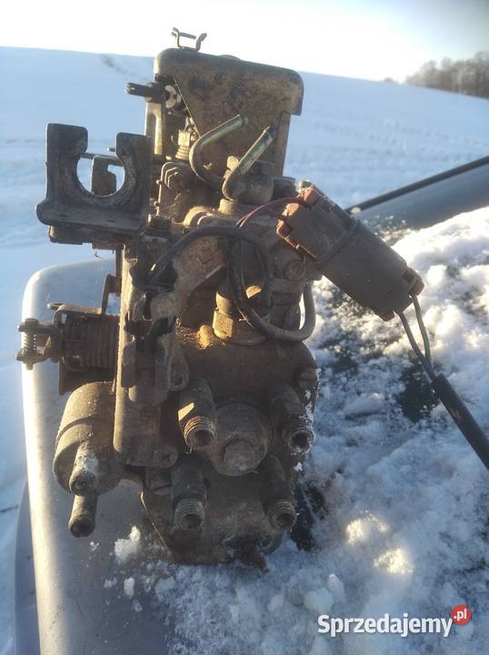 nissan primera podlaskie Puńsk