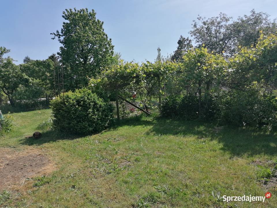 Działka ROD rekreacyjno warzywna 58zł/m2 zachodniopomorskie