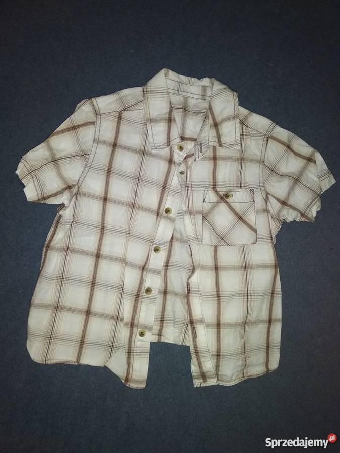bluzka chłopięca krótki rękaw 86 92 koszulka Rozmiar 86 wielkopolskie Poznań sprzedam