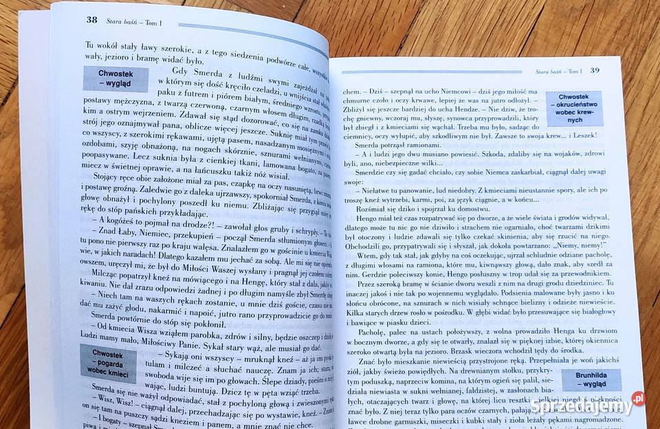 Stara Baśń J I Kraszewski opracowanie wyd Greg sprzedam