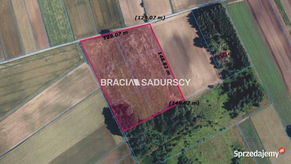 Działka 22406m2 Rawałowice 22406m2