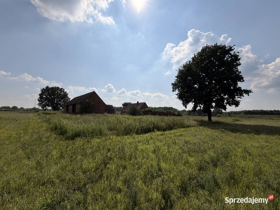 Siedlisko 517 ha z ceglaną stodołą Pawłów gm