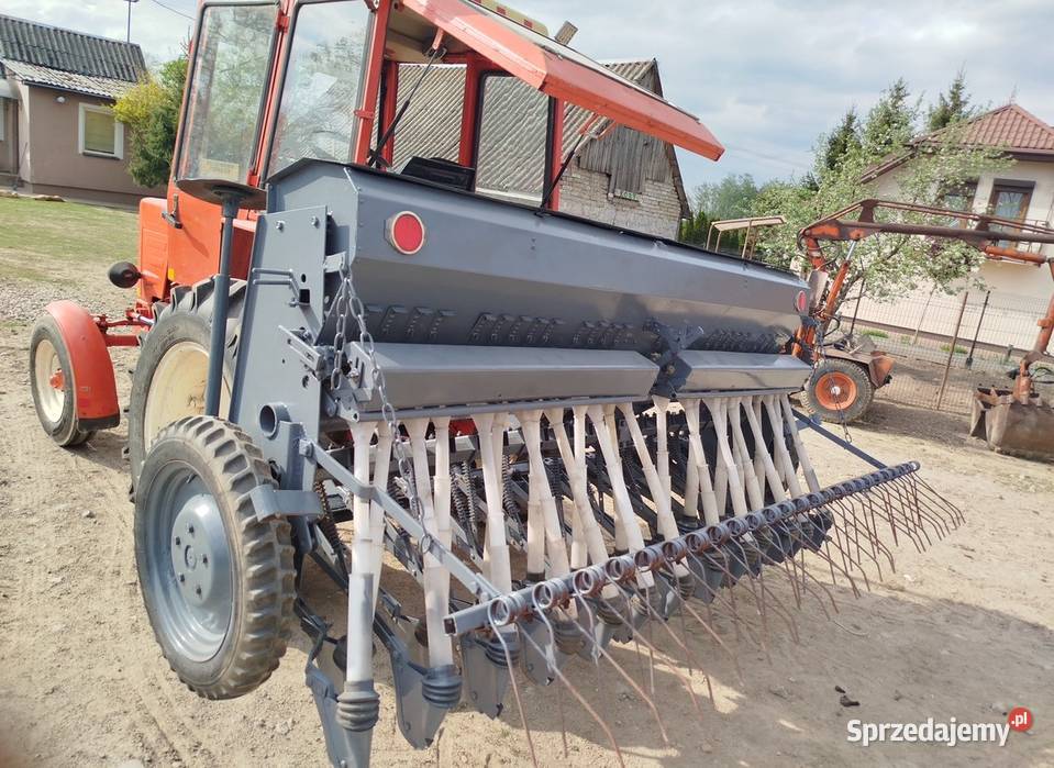 Siewnik poznaniak Zeńbok