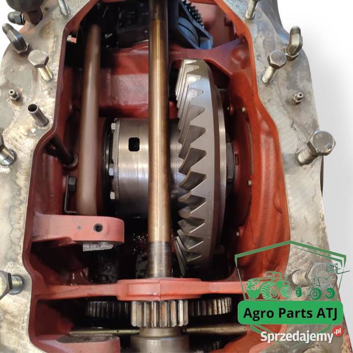 Dyferencjał 39x8 tylny most 6005023808 Renault Ciechanowiec