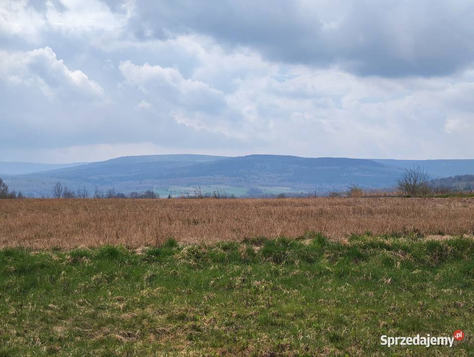 Działka z WZ budowlana z widokiem na Korkonosze 1592m2 sprzedam