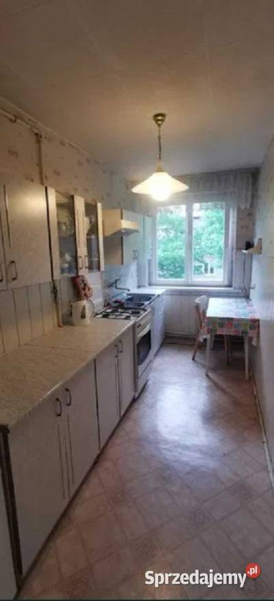 2pok 50met Kromera PIWNICAOGRÓD Wrocław 50m2