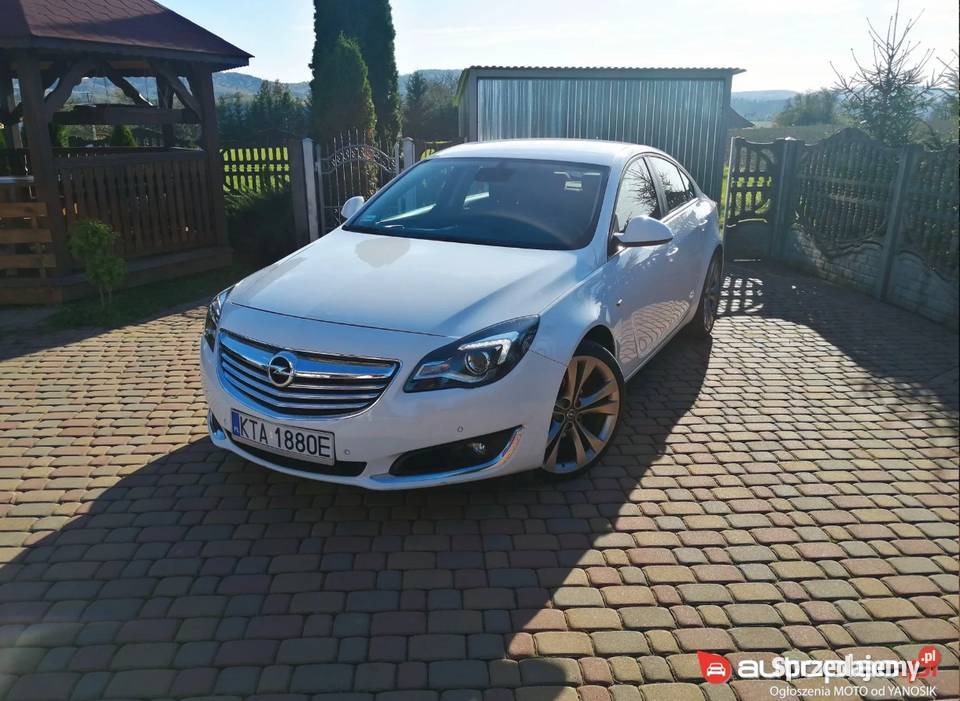 Opel Insignia Tuchów
