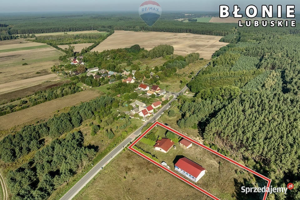 Dom parterowy wysoka hala garaże i pół hektara Liczba pokoi 4 lubuskie