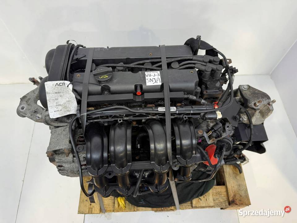 SILNIK SNJA Ford Fiesta VII MK7 125 82 benzyna Chełm