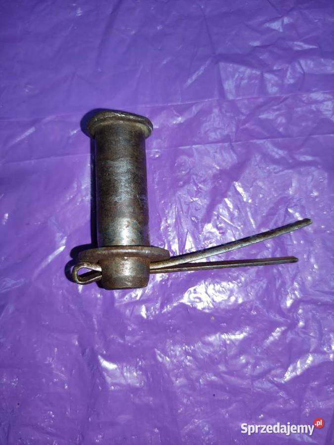 Korki bolec i motylek