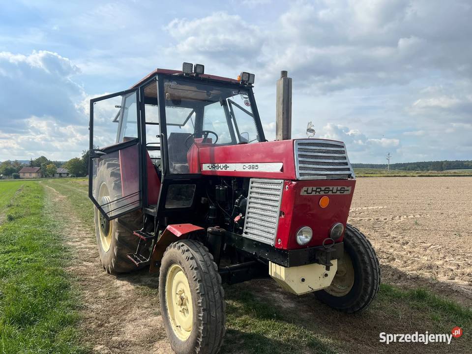 Ursus c385 lubelskie Uchanie