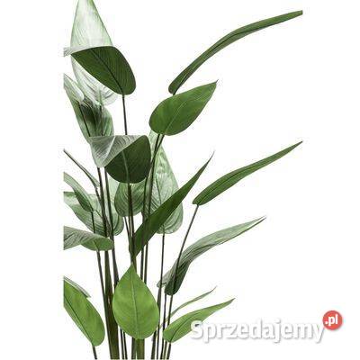 Emerald Sztuczna helikonia kolor zielony 125 mazowieckie Warszawa