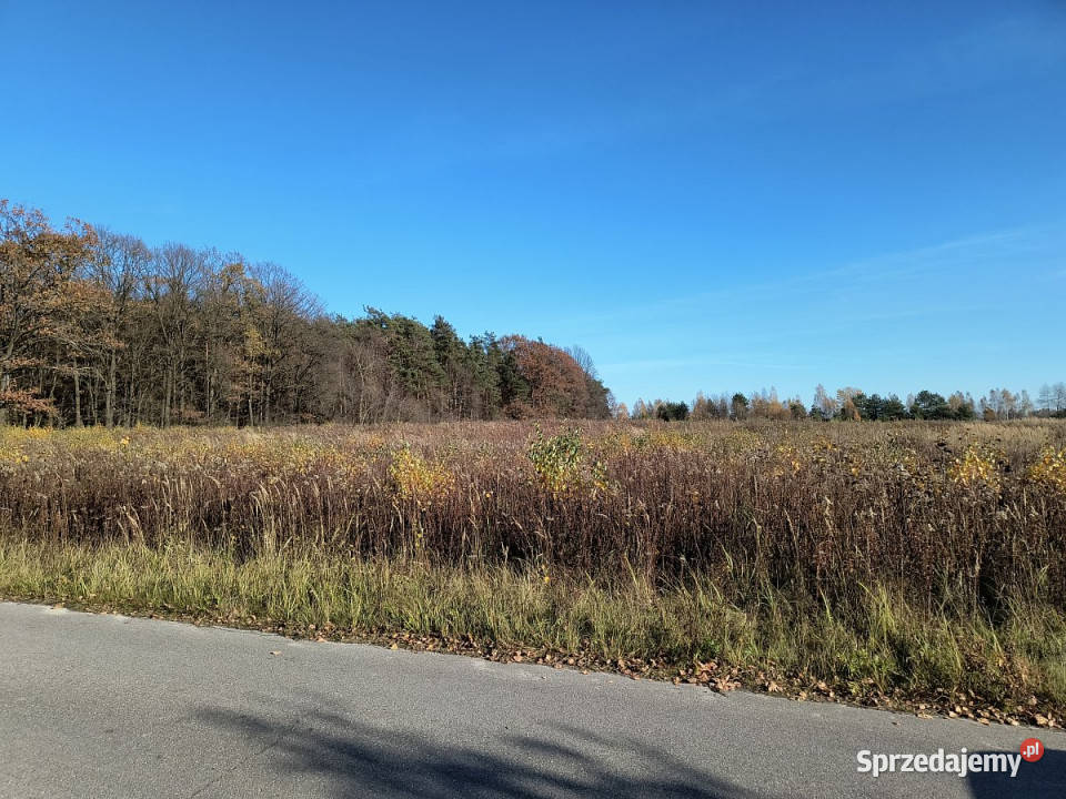 Działka Nowy Staw 14371m2 Sprzedaż Grunty i działki