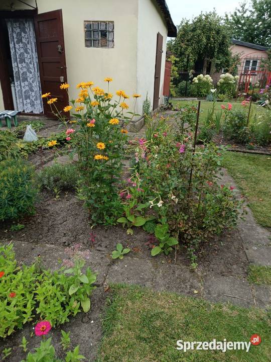 Sprzedam działkę Rodo Zabrze