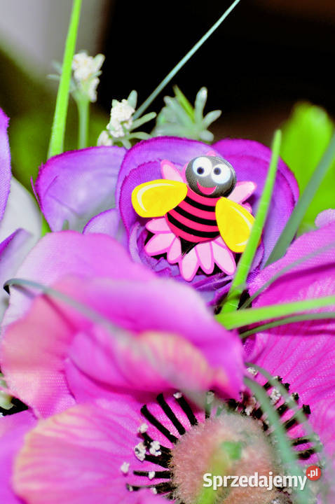 Sigma Nikon AF 300 APO IF F4D Macro Bełchatów