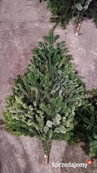 Wieńce wiązanki stroisz jodłowy Lublin