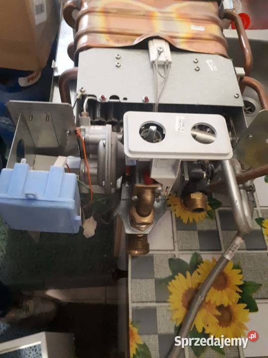 Termet gazowy podgrzewacz wody