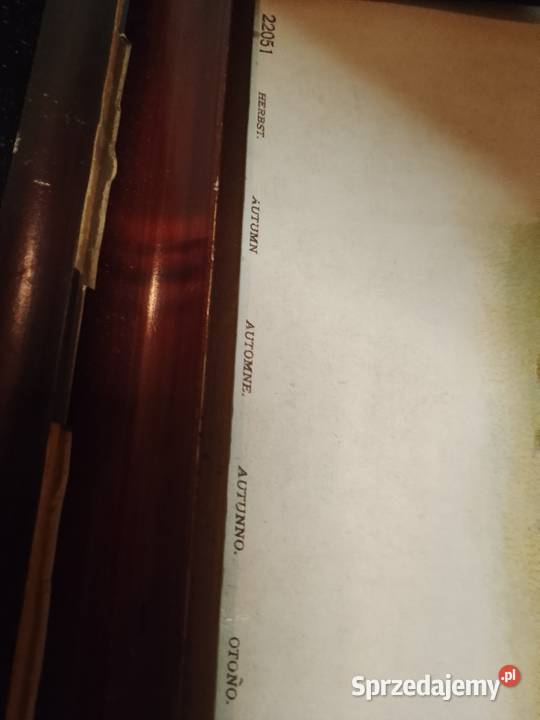 PejzażScena myśliwska w jesiennym Świdnik