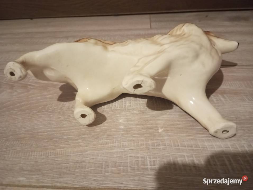 Figurka porcelanowa pies Collie owczarek Szkocki sprzedam