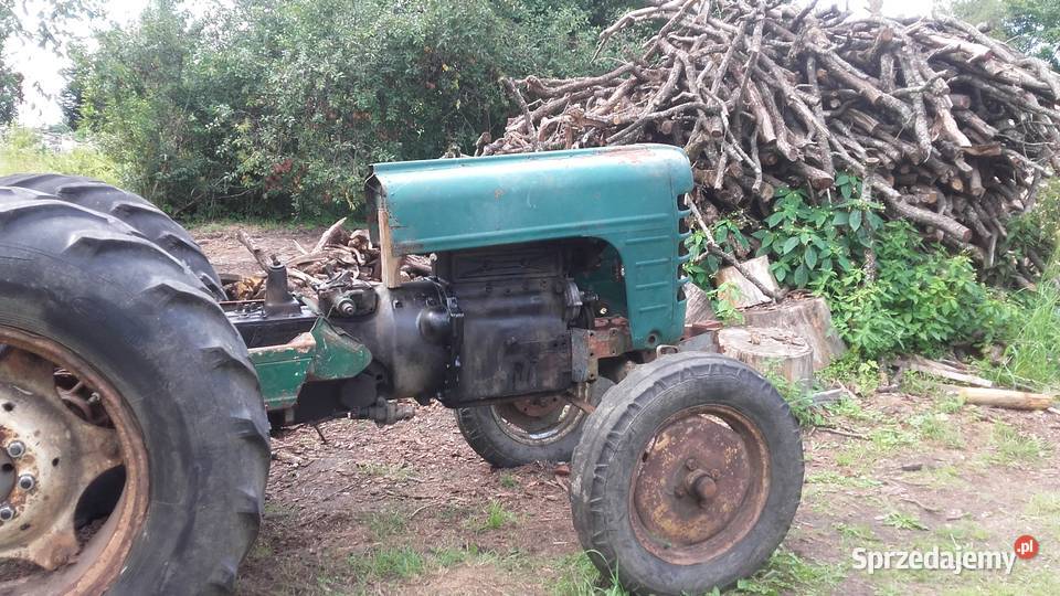 zetor 3011 major Młynary