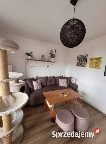 Bydgoszcz Wyżyny Mieszkanie na sprzedaż kujawsko-pomorskie