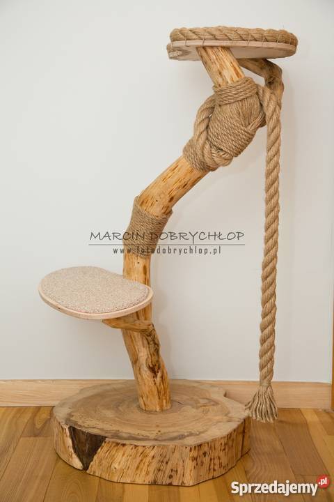 DRAPAK kota NATURALNY Poznań