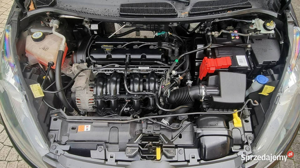 Ford Fiesta Klima Super Stan Podgrzewane Fotele ASR (kontrola trakcji) Płońsk