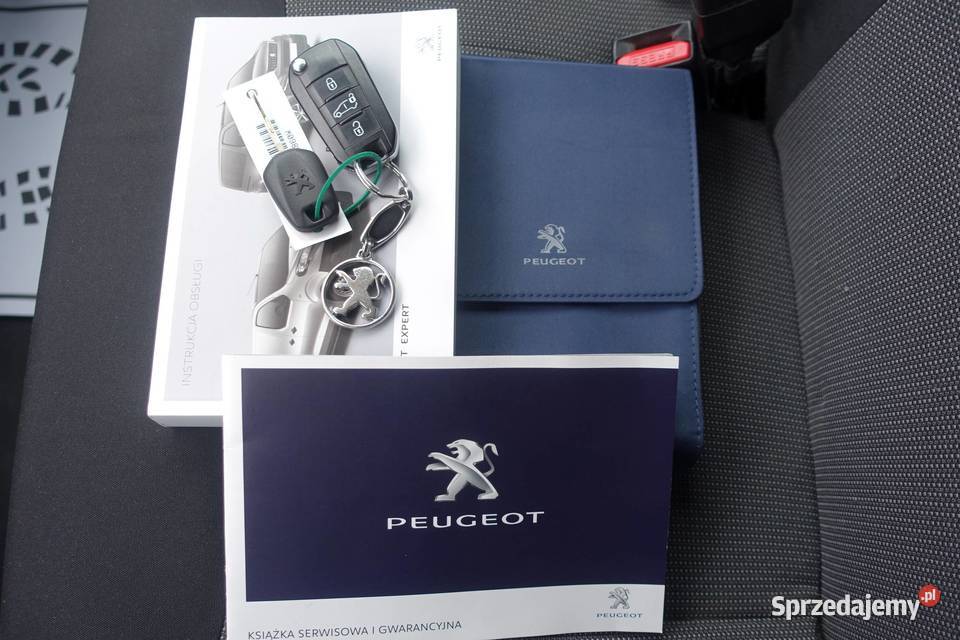 Peugeot Expert 20HDI 122 Salon 1 właściciel Buczkowice sprzedam